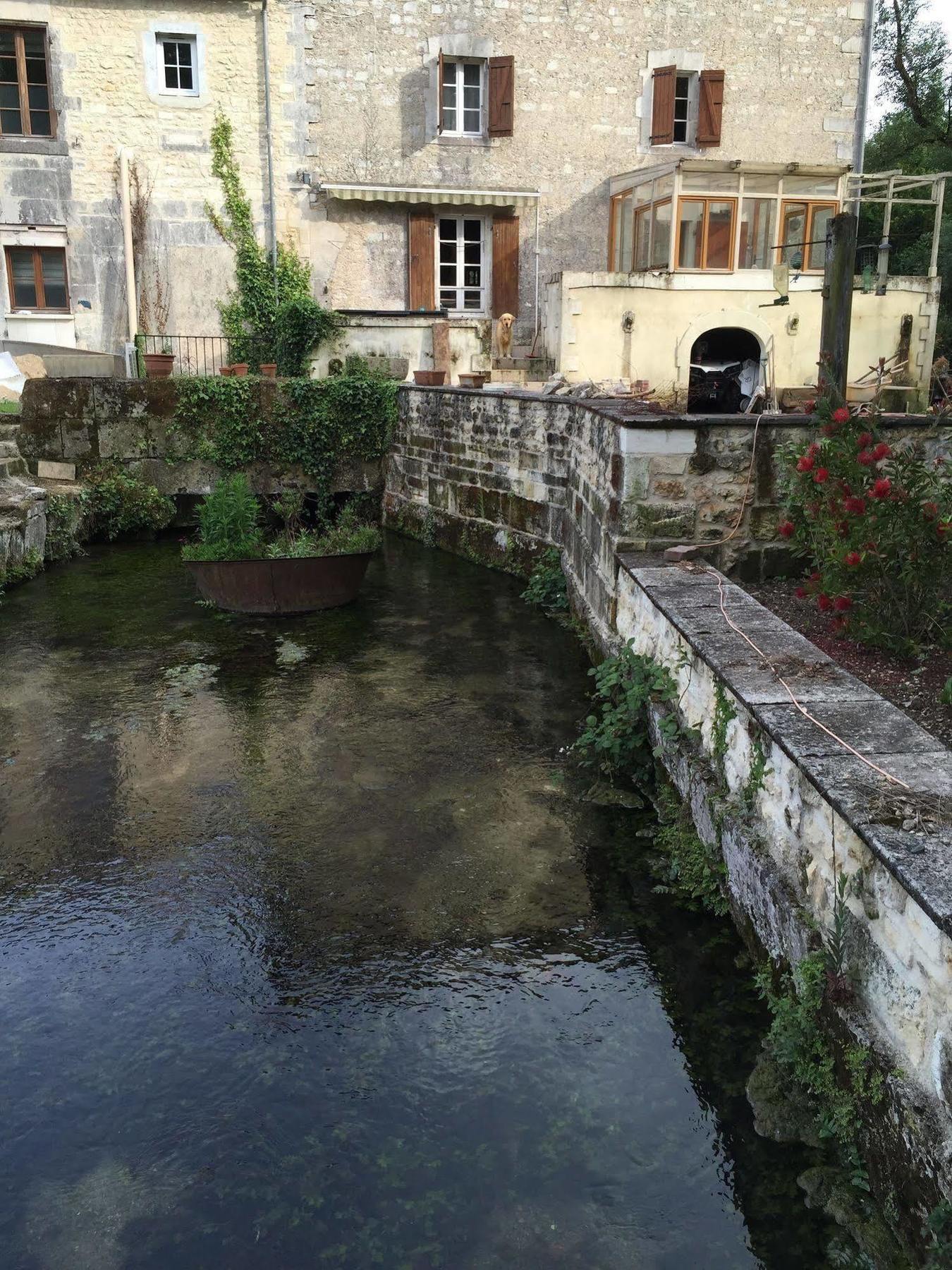 Petit Moulin De Veillard Villa Bourg-Charente Екстериор снимка